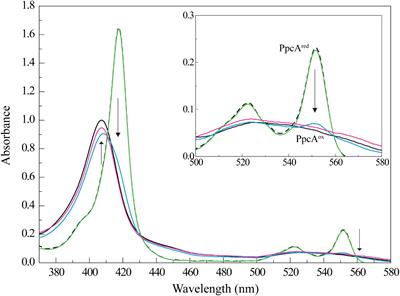 Biomolecular Interaction Studies Between Cytochrome PpcA From Geobacter sulfurreducens and the Electron Acceptor Ferric Nitrilotriacetate (Fe-NTA)